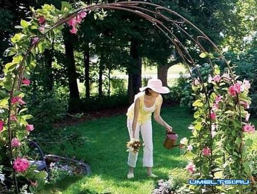 Арка для роз размеры. Арка для плетистой розы своими руками