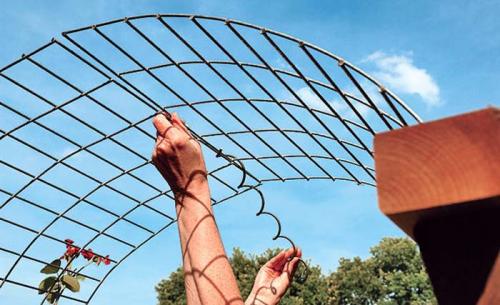 Беседка пергола своими руками. Как сделать перголу своими руками