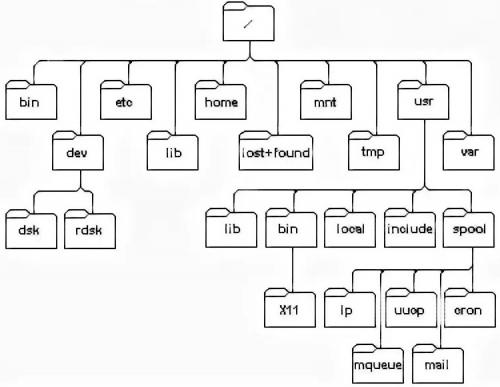 Дерево информатика. 1 Что такое деревья (в программировании)?