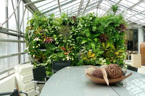 Вертикальное озеленение —, какие растения и цветы подобрать для оформления участка своими руками (115 фото)