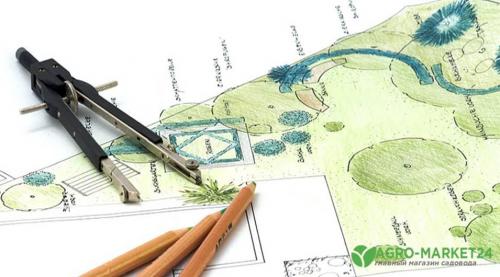 50 лучших цветов для дачи в 2023 году. Обзор многолетних видов 13 50 лучших цветов для дачи в 2023 году. Обзор многолетних видов 13