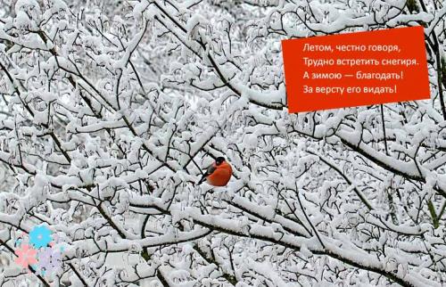 НЕ страшны зимы угрозы. Снегири, снегири, как осколочки зари. Стихи про снегиря для детей