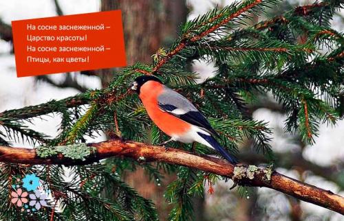 НЕ страшны зимы угрозы. Снегири, снегири, как осколочки зари. Стихи про снегиря для детей