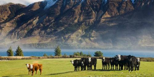 Куда уехать от ядерной войны. Третья мировая война: куда бежать и где можно укрыться от нее?