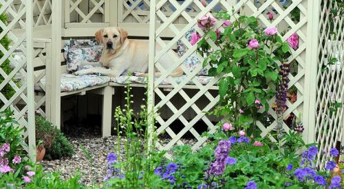 Как сделать опору своими руками. Выбор опоры для клематиса 07