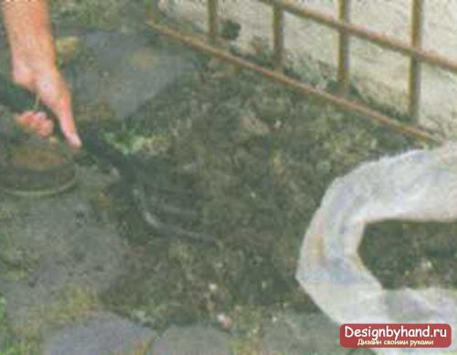 Вьющиеся розы, как украшение вашего сада. Укрытие на зиму 08 Вьющиеся розы, как украшение вашего сада. Укрытие на зиму 08