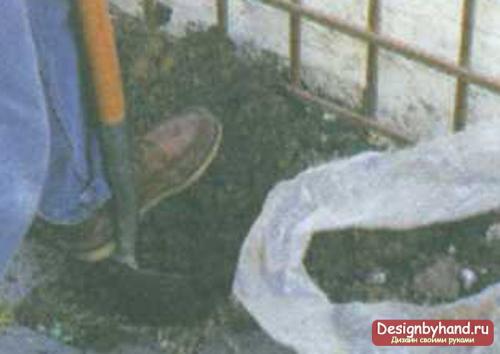 Вьющиеся розы, как украшение вашего сада. Укрытие на зиму 09 Вьющиеся розы, как украшение вашего сада. Укрытие на зиму 09