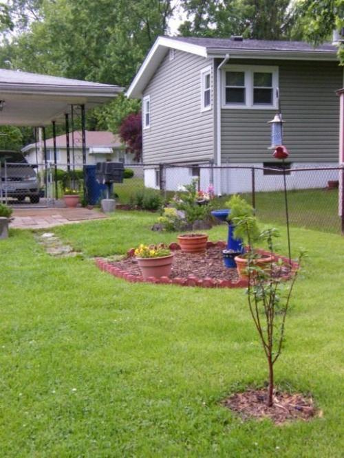 Чем засыпать приствольный круг. Содержание под черным паром