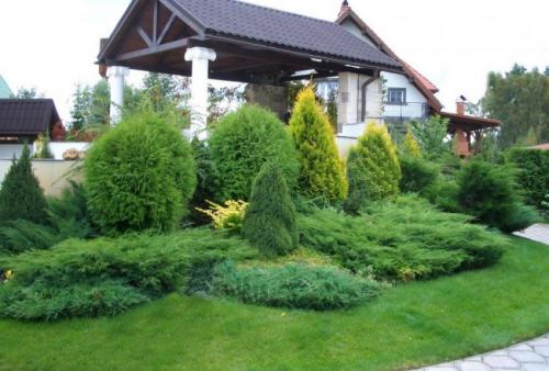 Хвойные растения в дизайне дачного участка. Использование хвойных растений в ландшафтном дизайне 37