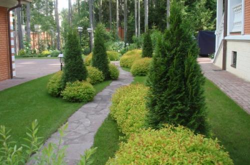 Хвойные растения в дизайне дачного участка. Использование хвойных растений в ландшафтном дизайне 35