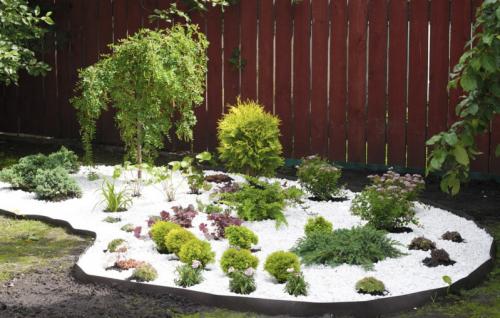 Маленькие клумбы с хвойными. 12 вариантов хвойной клумбы