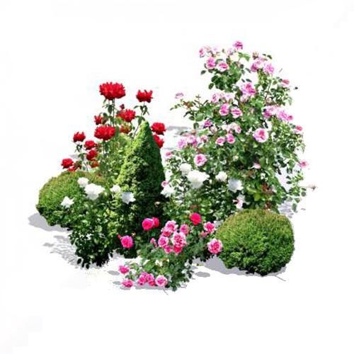 Клумба из хвойных и кустарников. Миксбордеры из хвойников и кустарников 05