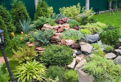 Композиции из хвойных в ландшафтном дизайне. Хвойные растения в ландшафте сада 15 Композиции из хвойных в ландшафтном дизайне. Хвойные растения в ландшафте сада 15