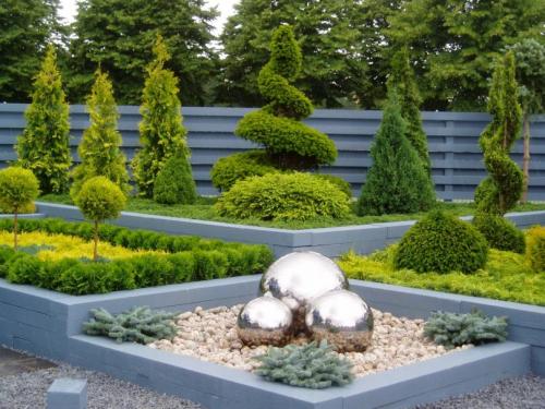 Хвойные растения для дачи. Лучшие хвойные растения для сада — статья которая поможет вам красиво скомбинировать растительность, виды и названия растений в обзоре!