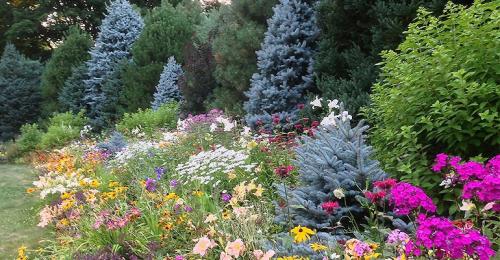 Композиции из хвойных в ландшафтном дизайне. Хвойные растения в ландшафте сада