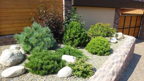 Хвойные растения в ландшафтном дизайне. Хвойные в ландшафтном дизайне 2022: ТОП-80 красивых идей 01 Хвойные растения в ландшафтном дизайне. Хвойные в ландшафтном дизайне 2022: ТОП-80 красивых идей 01