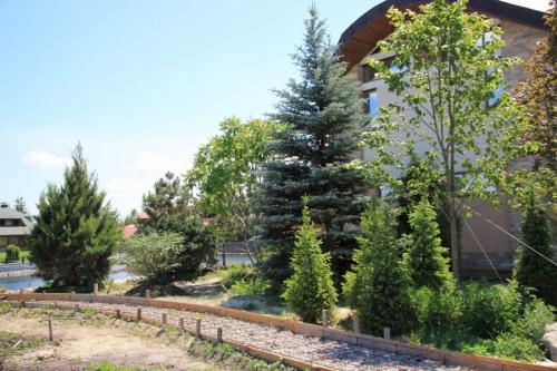 Какое дерево посадить возле дома. Деревья возле дома — виды которые можно и нельзя сажать. 100 фото лучших вариантов для посадки