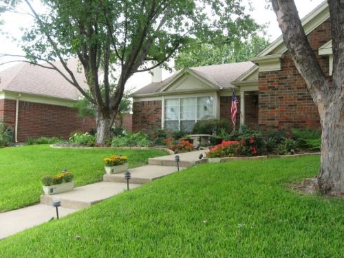 Какое дерево посадить возле дома. Деревья возле дома — виды которые можно и нельзя сажать. 100 фото лучших вариантов для посадки