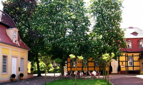 Какое дерево посадить возле дома. Деревья возле дома — виды которые можно и нельзя сажать. 100 фото лучших вариантов для посадки