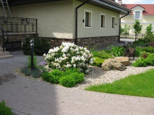 Какое дерево посадить возле дома. Деревья возле дома — виды которые можно и нельзя сажать. 100 фото лучших вариантов для посадки