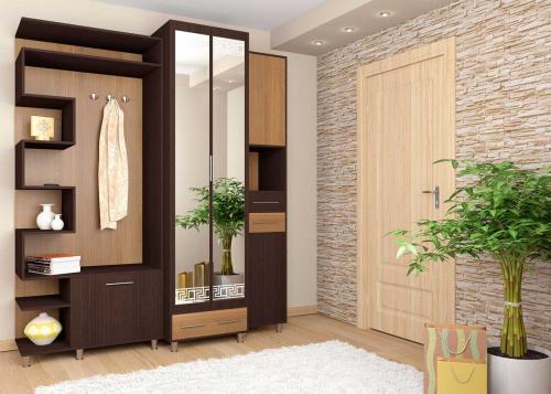 Цветы для темной прихожей. Месторасположение растений