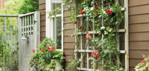 Изгородь для плетистых роз. Опоры для плетистых роз своими руками: фото, виды