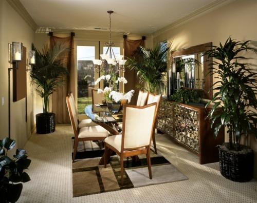 Цветущие комнатные растения не требующие света. 21 растение, которому достаточно мало света