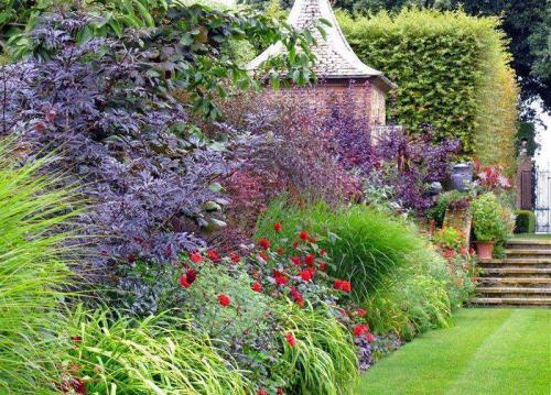 Цветы на даче. Как посадить красиво цветы на даче своими руками