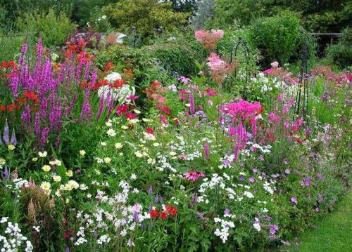 Цветы на даче. Как посадить красиво цветы на даче своими руками