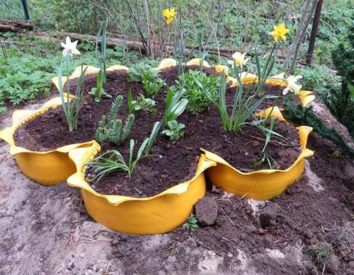 Как красиво расположить цветы на даче. Клумбы для цветов на даче своими руками – 70 лучших вариантов