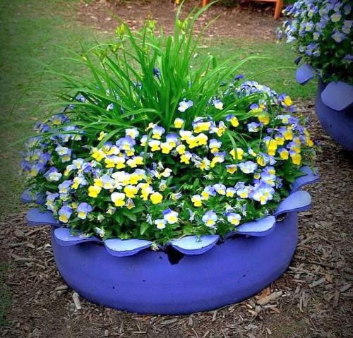 Как красиво расположить цветы на даче. Клумбы для цветов на даче своими руками – 70 лучших вариантов