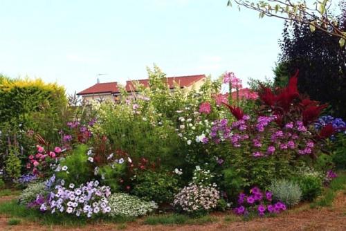 Цветы на даче. Как посадить красиво цветы на даче своими руками