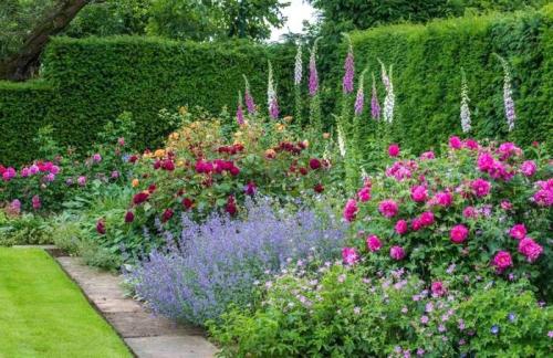 Цветы на даче. Как посадить красиво цветы на даче своими руками