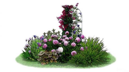 Клумба из роз своими руками. Красивая клумба с розами и другими цветами: 55 примеров с фото