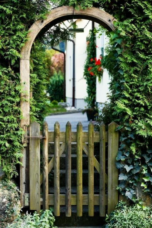 Деревянные арки в саду. Дерево, металл или ковка –, что выбрать?