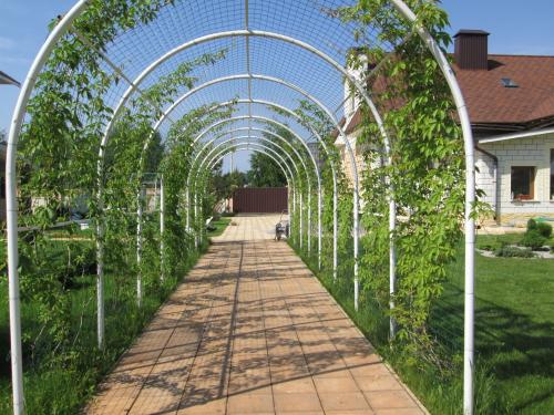 Деревянные арки в саду. Дерево, металл или ковка –, что выбрать?