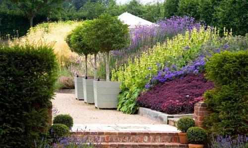 Светолюбивые хвойные растения. Хвойные растения: классы, виды хвойных деревьев