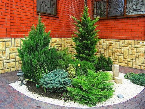 Готовые схемы хвойных клумб. Как выбирать хвойные растения для клумб