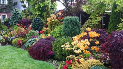 Миксбордеры дизайн и посадка. Вечноцветущий миксбордер