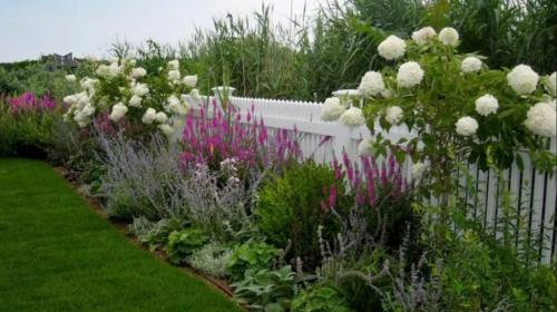 Миксбордеры дизайн и посадка. Вечноцветущий миксбордер