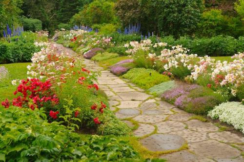 Миксбордеры дизайн и посадка. Вечноцветущий миксбордер