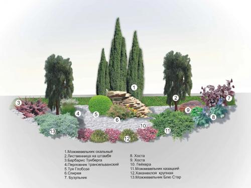 Готовые схемы хвойных клумб. Как выбирать хвойные растения для клумб