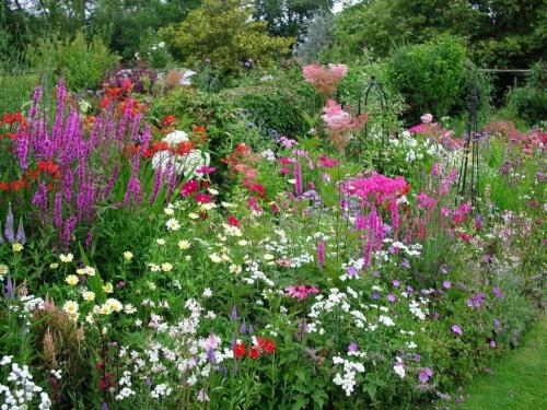 Миксбордеры дизайн и посадка. Вечноцветущий миксбордер