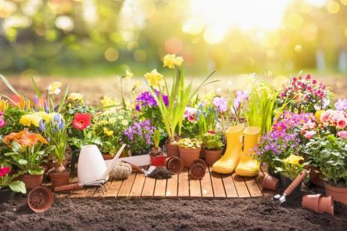 Полезные поделки для дачи. 30 полезных лайфхаков для дачи своими руками