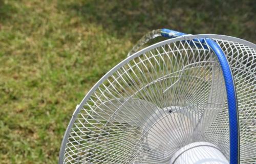 Все о даче и для дачи своими руками. Интересные идеи для сада и огорода не, как у всех