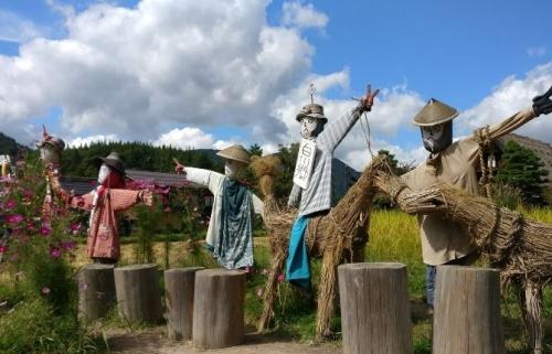 Все о даче и для дачи своими руками. Интересные идеи для сада и огорода не, как у всех