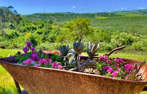 Все о даче и для дачи своими руками. Интересные идеи для сада и огорода не, как у всех