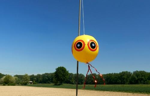 Все о даче и для дачи своими руками. Интересные идеи для сада и огорода не, как у всех