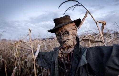 Все о даче и для дачи своими руками. Интересные идеи для сада и огорода не, как у всех