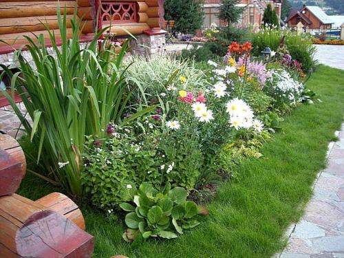 Простые клумбы на даче. Цветник на даче своими руками для начинающих: фото и практические советы